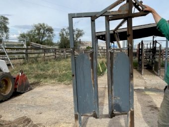 Cattle Head Bale