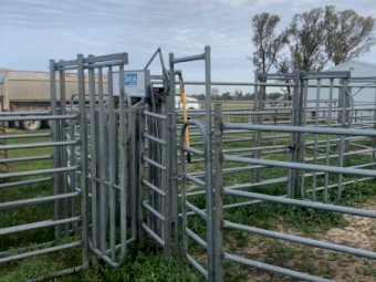 Arrow Farmquip Q- Catch Cattle Yards