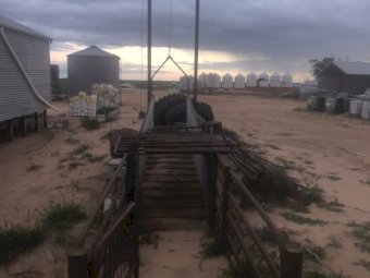5m Loading Ramp