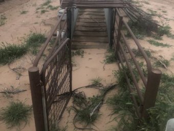 5m Loading Ramp
