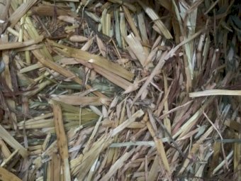 Oaten Hay 8x4x3 Bale + Freight