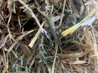 Oaten Hay 8x4x3 Bale + Freight