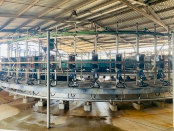 50 Stand Yarroweyah Rotary Dairy "Offers"