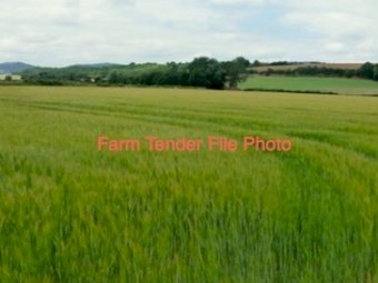 WANTED Hay on share basis