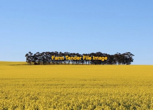Grazing and dry land cropping, Land Lease 5 + 5, ready to start December, 6500 acres  Meridian Road, near Mildura.