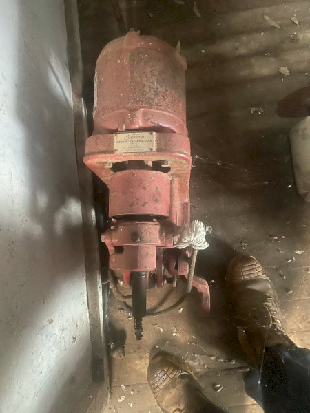 Shearing Plants