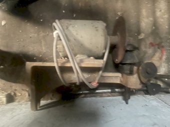 Shearing Plants
