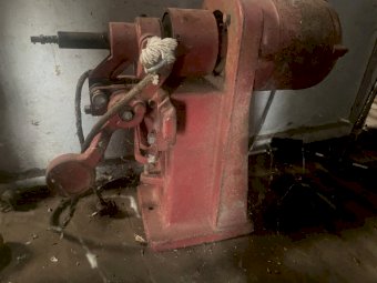 Shearing Plants