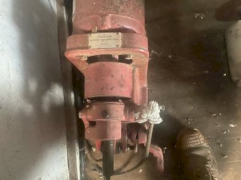 Shearing Plants