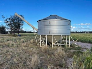 MPH Sherwell 28 mt Field Bin
