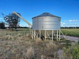 MPH Sherwell 28 mt Field Bin