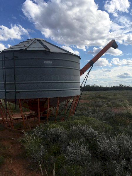 Allbulk 27 mt Field Bin with Auger