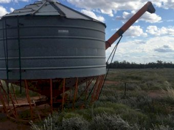 Allbulk 27 mt Field Bin with Auger