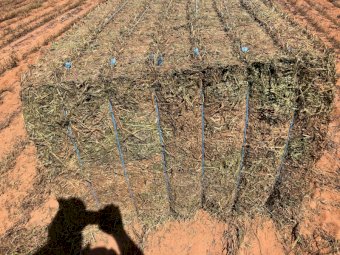 200mt Vetch Hay 650-700kg 8x4x3 Bales (New Season 21/22)