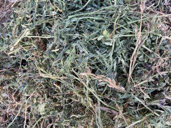 135mt Vetch Hay 680kg 8x4x3 Bales (NEW SEASON 21/22)