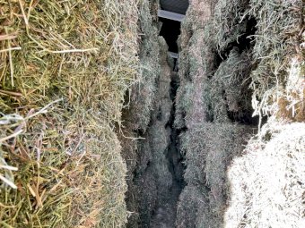 135mt Vetch Hay 680kg 8x4x3 Bales (NEW SEASON 21/22)