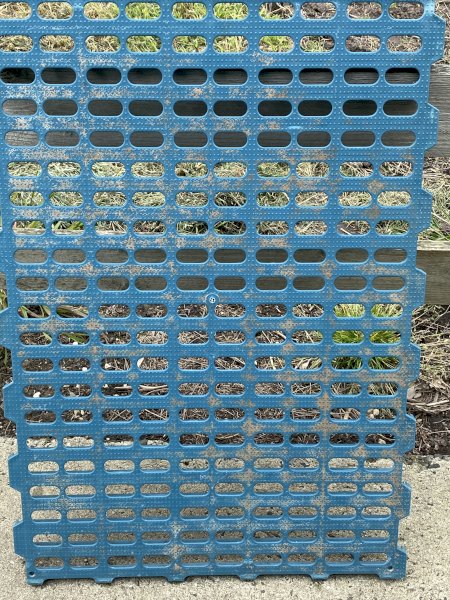 Slats used for Barn Laid poultry shed