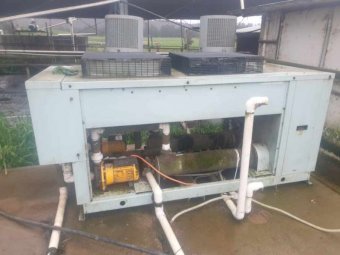 Milk Vat Chiller