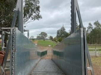 8m Proway Portable Loading Ramp