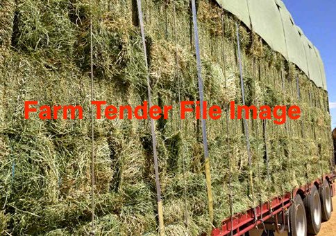 First Cut Lucerne Small Squares (Bale Baron Packs )