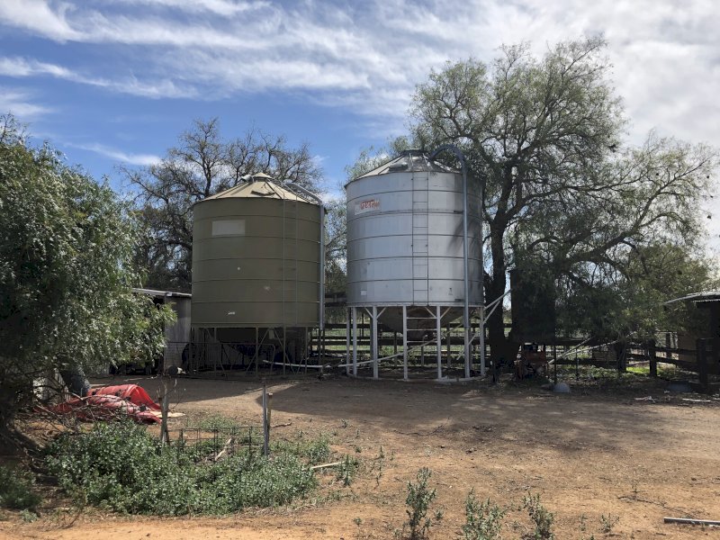 Nelson Silos  540 Bags
