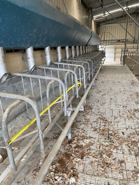 Dairy Stall Gates