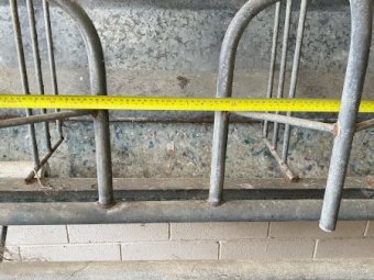 Dairy Stall Gates