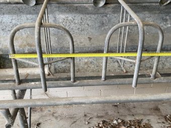 Dairy Stall Gates