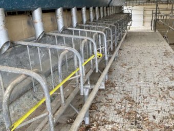 Dairy Stall Gates