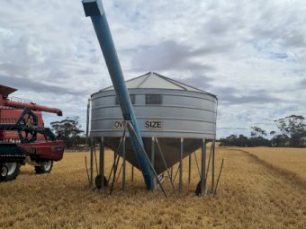 Campbell 25mt PTO Field Bin