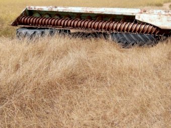 Shearer PTO Header