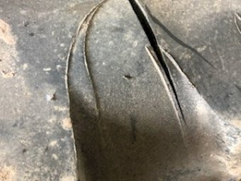 New Holland Windrower  21L-28 Tyres & Rims
