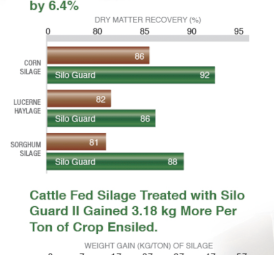 Silo Guard