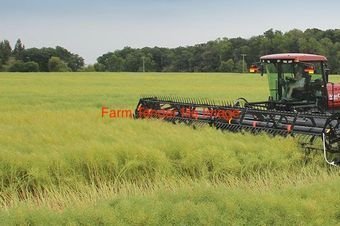 International Windrower Transporter with	Macdon Windrower m155 or m200