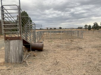 Sheep & Cattle Yards POA