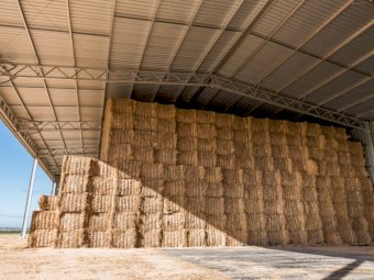 Entegra 1700 Series (1700 8x5x3 Bale Shed)