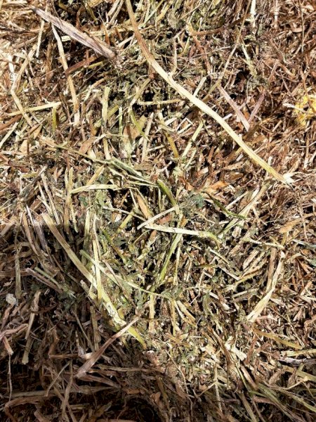 200mt Vetch Hay 500kg 8x4x3 Bales (Road Train Access)