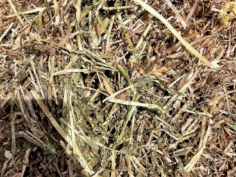200mt Vetch Hay 500kg 8x4x3 Bales (Road Train Access)