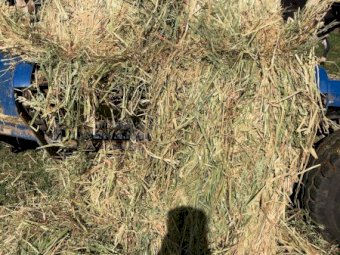 150mt Oaten Hay 500kg 5x4 Round Bales