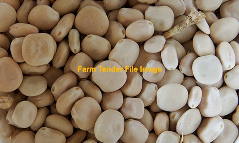 100-150 ton of Albis Lupins