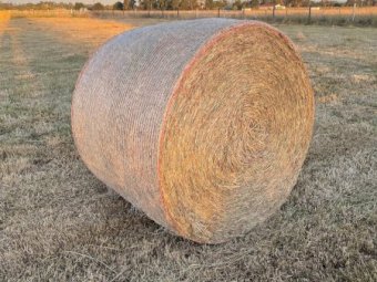 Pasture Hay Rolls 5x4