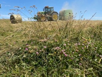 500 Organic Pasture Hay Rolls