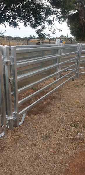 Under Auction - (A225) 20 x Sheep Panels 2.8m 