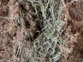 120mt Vetch Hay 600kg+ 8x4x3 Bales (New Season 21/22)