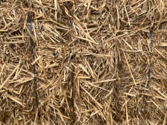 Oaten 8x4x3 Bales