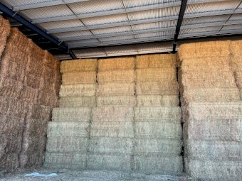 39m/t Vetch Hay 600-650kg 8x4x3 Bales (21/22)