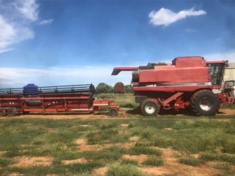 Under Auction - (A191) 1999 Case 2388 with 30 ft Comb & Trailer 