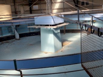 Under Auction - (A170) 6 Horse AquaCiser Water Walker with Filtration Setup 
