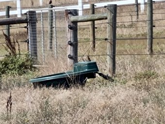 Under Auction - (A170) 6 X Polymaster 200Ltr Water Troughs 