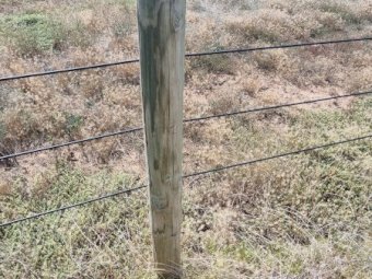 Under Auction - (A170) 100 X Posts, Strainers, Stays, Wire 